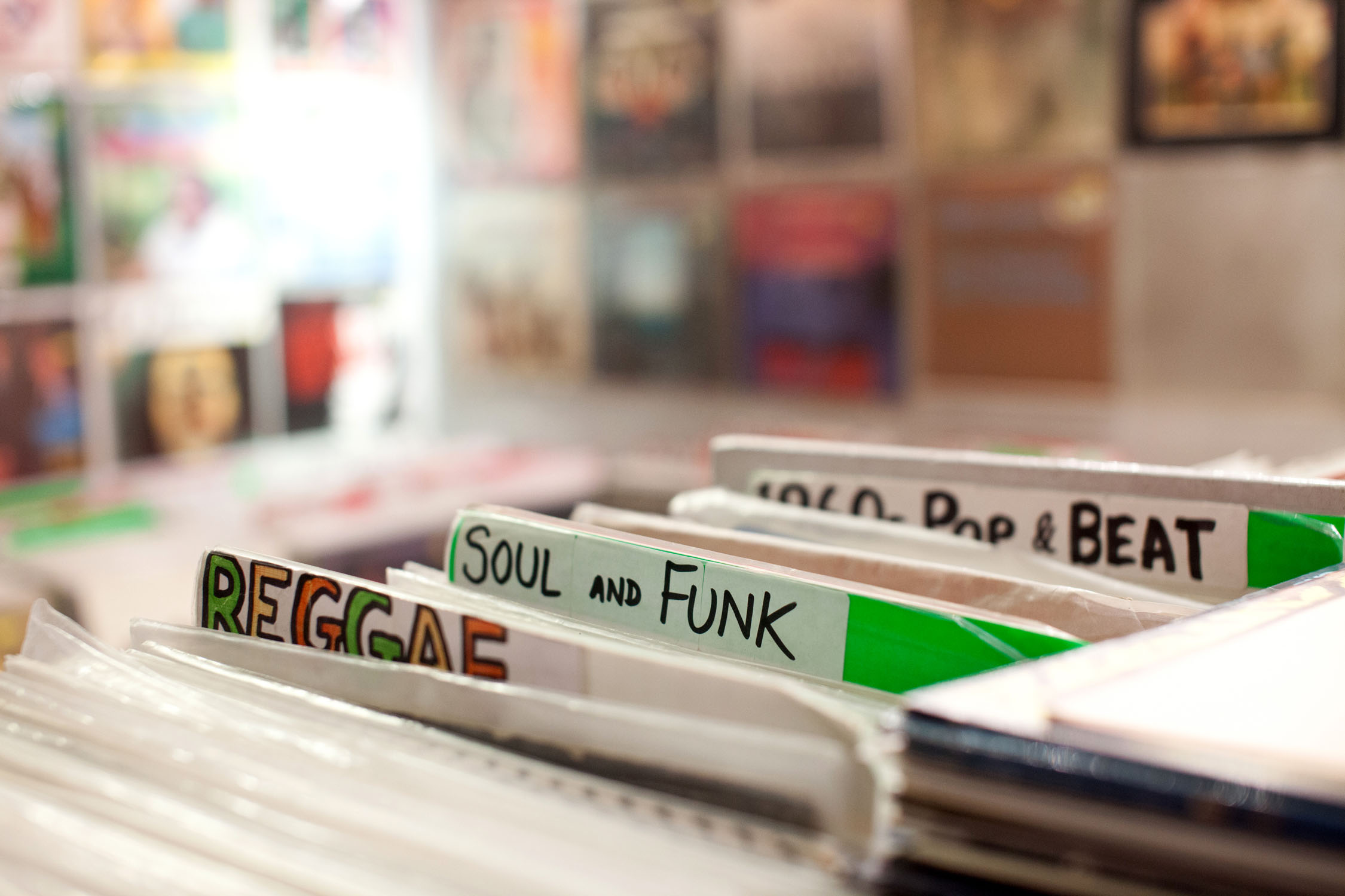 Record Collector → Our Favourite Places Sheffield Culture Guide
