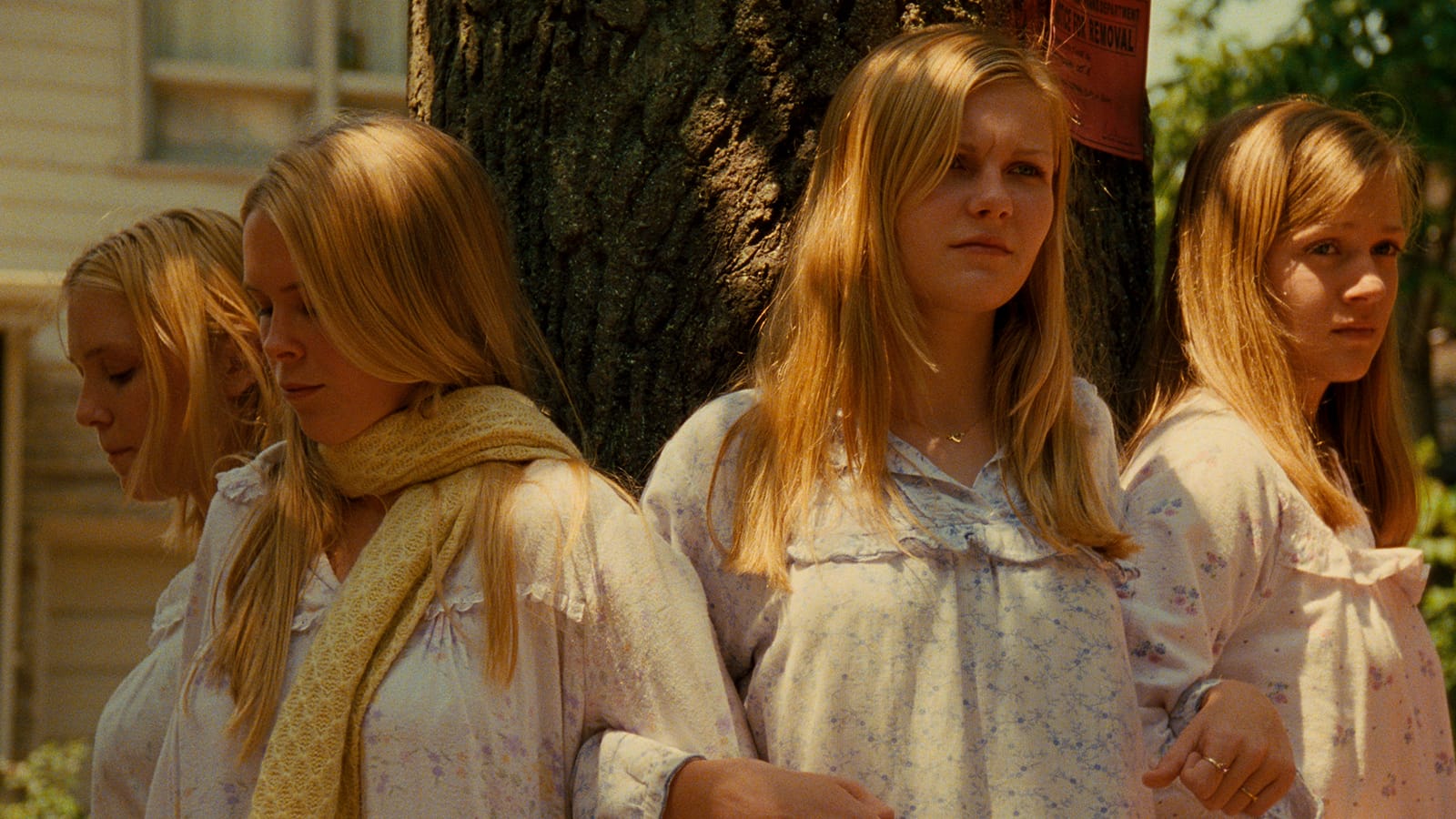 The Virgin Suicides → Our Favourite Places – Sheffield Culture Guide